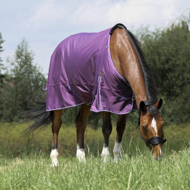 Equithème - Couverture Tyrex Aisance 600D prune 50g | - Ohlala