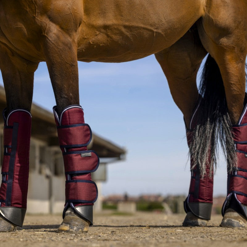 Equithème - Guêtres de transport Tyrex 1200D renforcées bordeaux | - Ohlala