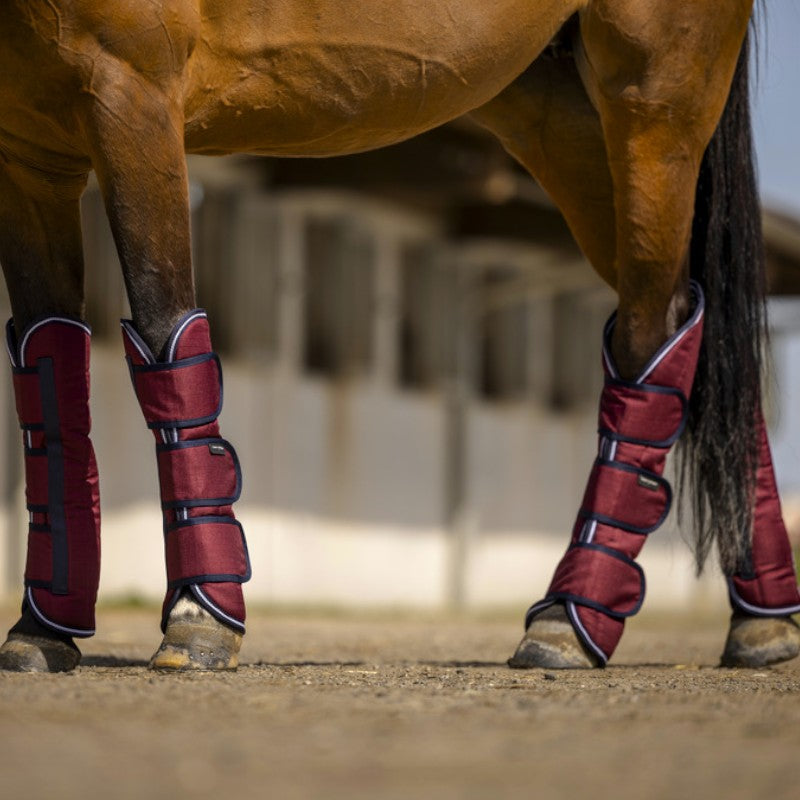 Equithème - Guêtres de transport Tyrex 1200D bordeaux | - Ohlala