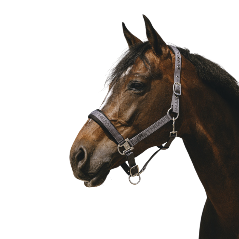 Equithème - Licol Nylon Jacquard gris | - Ohlala