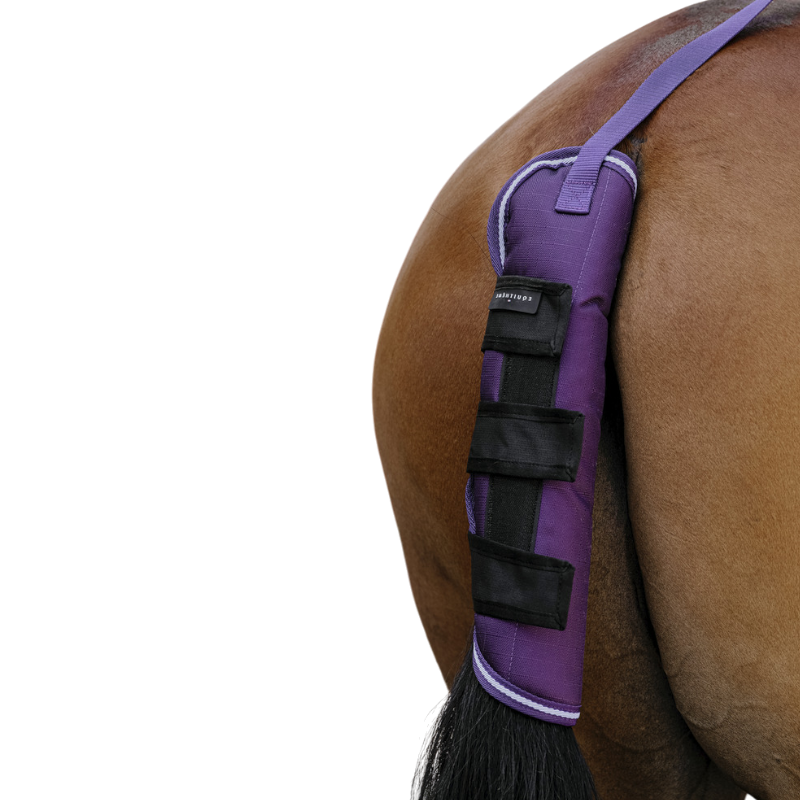 Equithème - Protège-queue Tyrex 600D prune | - Ohlala