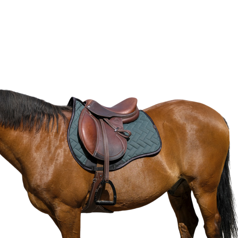Equithème - Tapis de selle Impulsion vert | - Ohlala