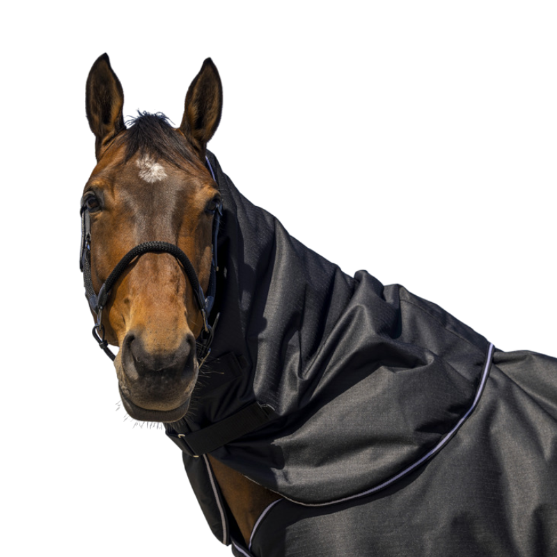 Equithème - Couvre-cou Tyrex 600D noir 0g | - Ohlala