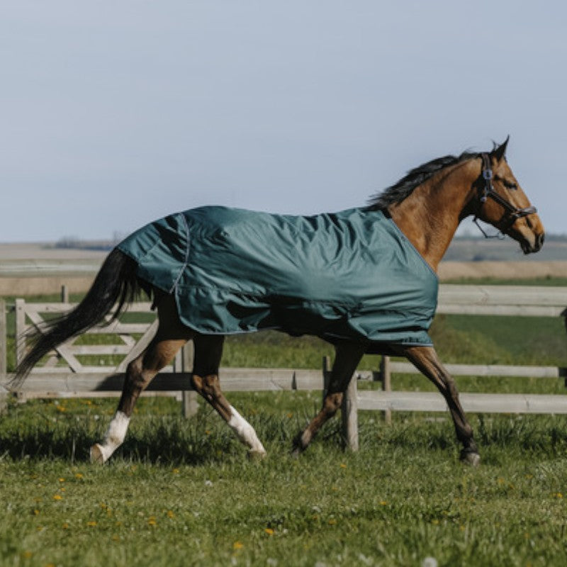 Equithème - Couverture d'extérieur Tyrex 600D 300g vert | - Ohlala