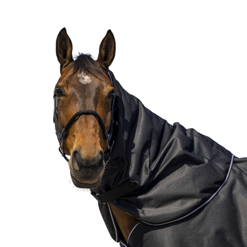 Equithème - Couvre-cou Tyrex 600D noir 200g | - Ohlala