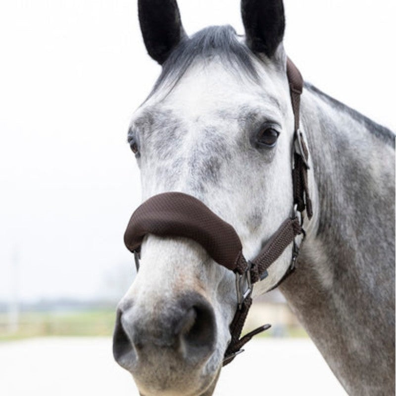 Pro Confort - Ensemble licol ergonomique et longe Dorai en mesh marron | - Ohlala