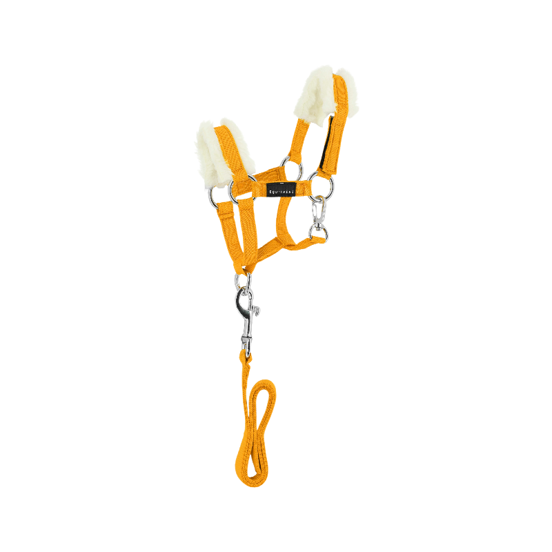 Equithème - Ensemble licol + longe pour mini poney jaune | - Ohlala