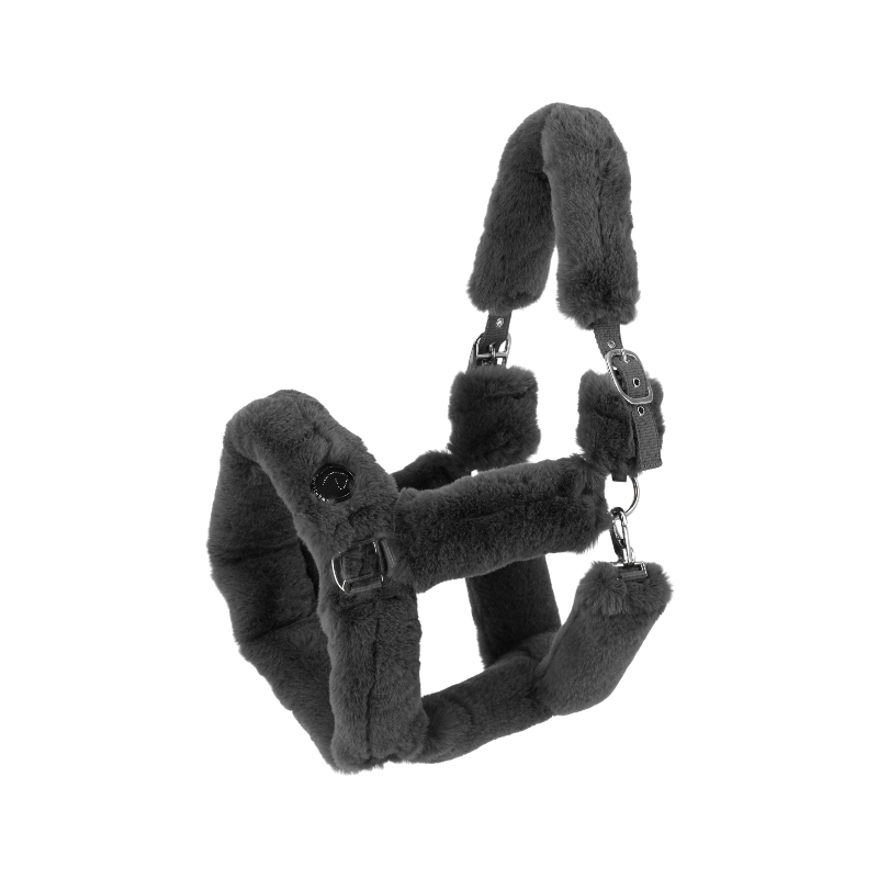 Equithème - Licol pour chevaux Snuggy Je t'aime gris | - Ohlala