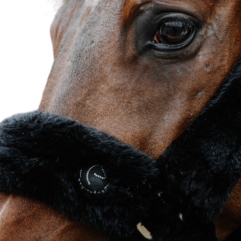 Equithème - Licol pour chevaux Snuggy Je t'aime noir | - Ohlala