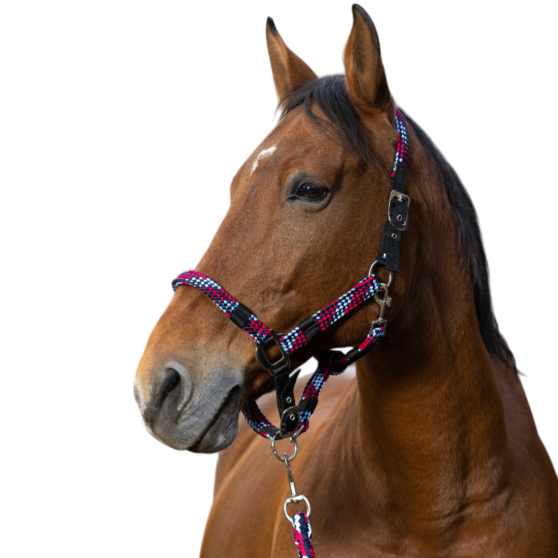 Equithème - Licol et longe tressé fuchsia/ bleu ciel/ marine | - Ohlala