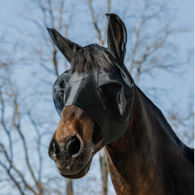 Equithème - Masque anti-mouches et UV Lycra noir | - Ohlala