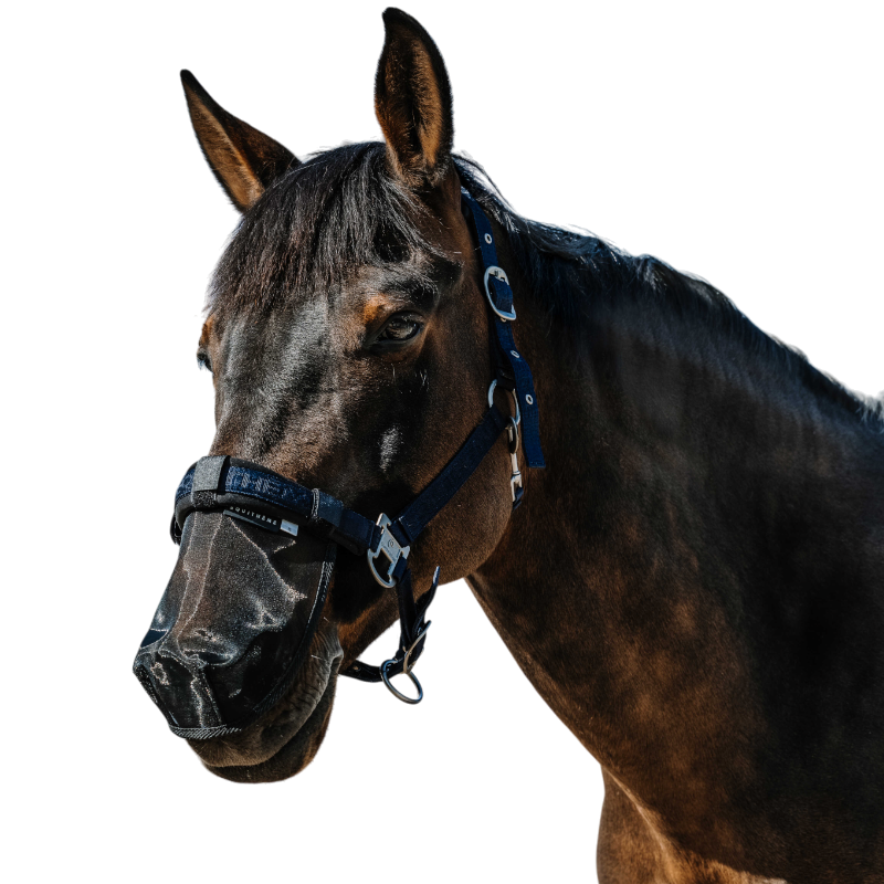 Equithème - Protection de nez anti UV noir | - Ohlala