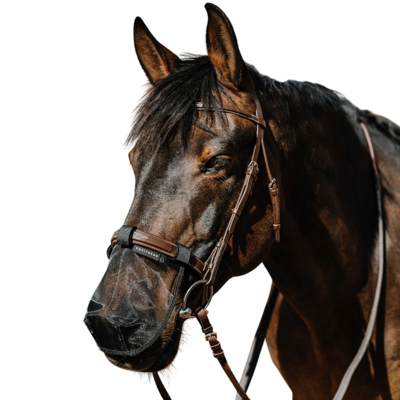 Equithème - Protection de nez anti UV noir | - Ohlala