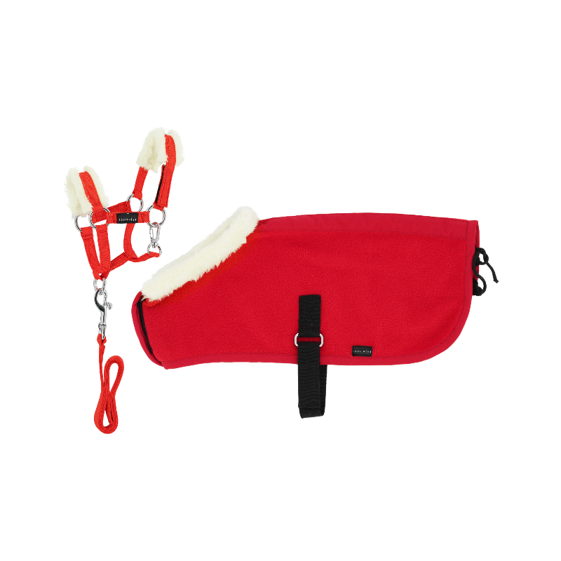 Equithème - Set licol + couverture pour mini poney rouge | - Ohlala