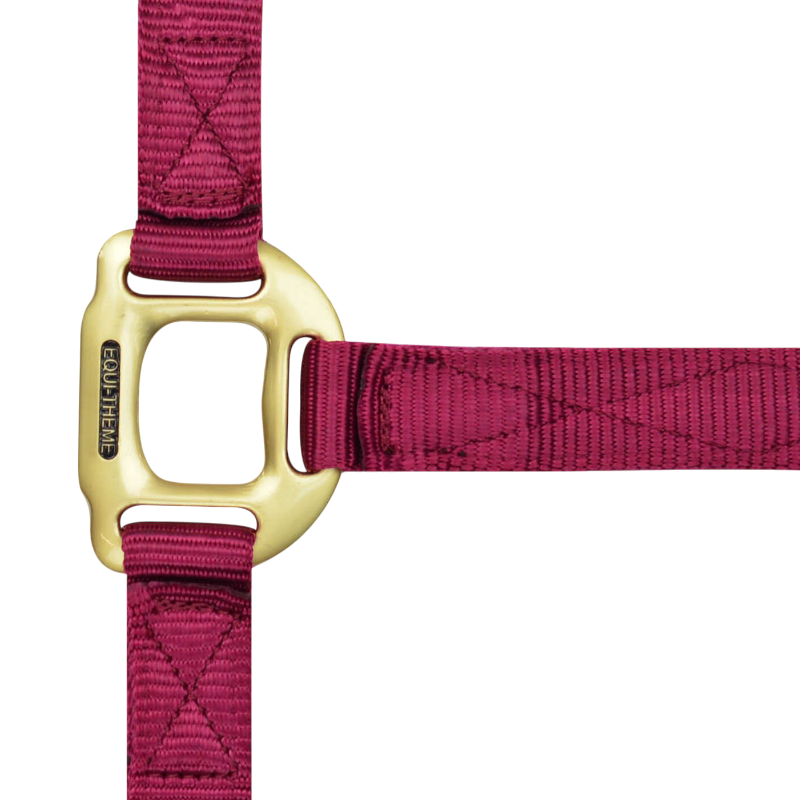Equithème - Licol en nylon bordeaux | - Ohlala