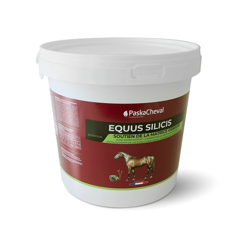 Paskacheval - Complément alimentaire articulaire Equus silicis | - Ohlala
