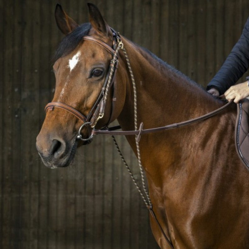 Eric Thomas - Chambon havane | - Ohlala