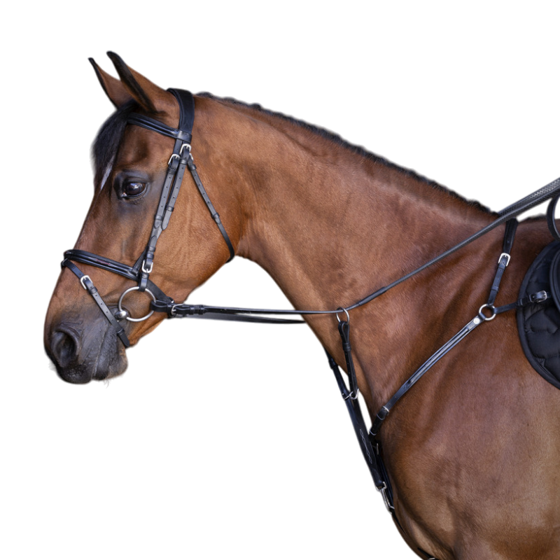 Eric Thomas - Collier de chasse Hybrid noir | - Ohlala