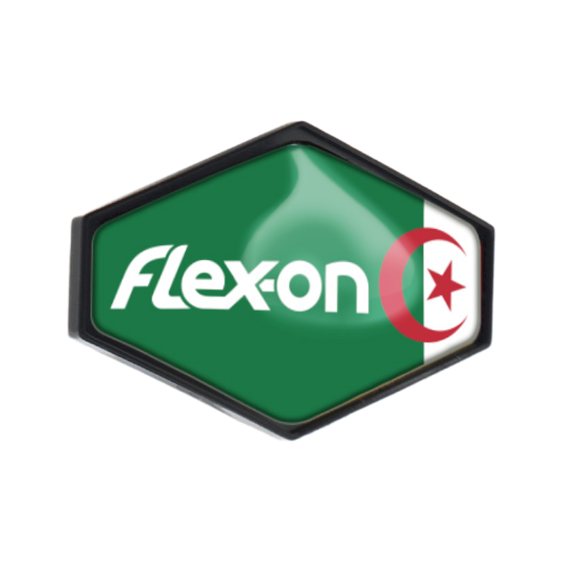 Flex On - Sticker casque Armet Algérie | - Ohlala
