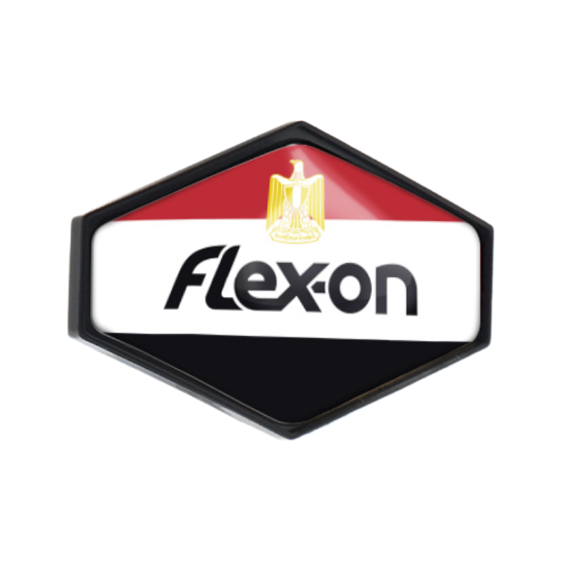 Flex On - Sticker casque Armet Égypte | - Ohlala