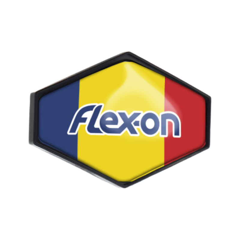 Flex On - Sticker casque Armet Roumanie | - Ohlala