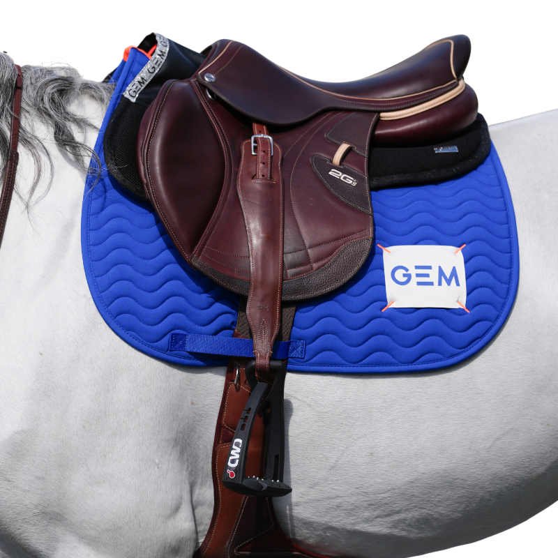 GEM - Tapis de selle Touc Touc bleu roi | - Ohlala