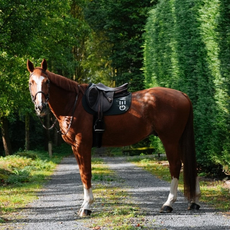 GEM - Tapis de selle Ten vert sapin | - Ohlala