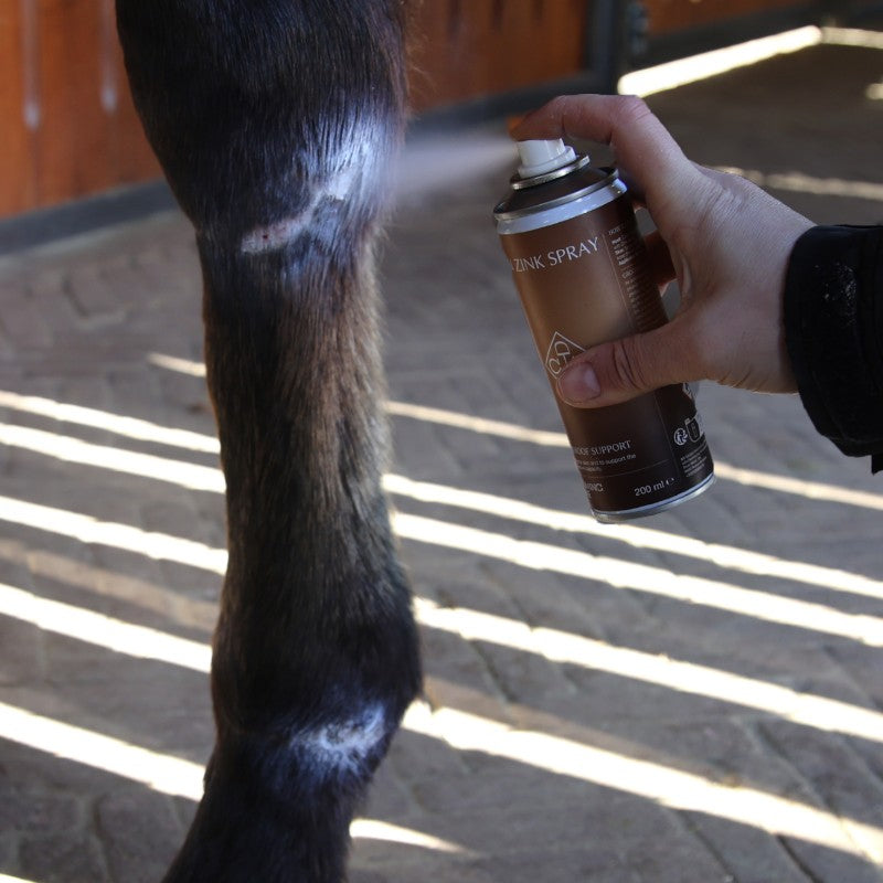 Grooming Deluxe - Spray au zinc | - Ohlala