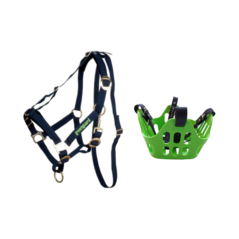 Greenguard - Pack panier et licol thérapeutique vert | - Ohlala