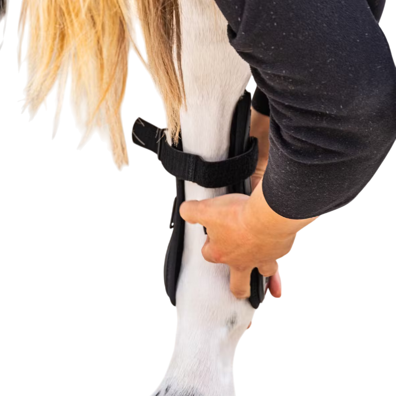 Kentucky Horsewear - Guêtres à velcro Bambou noir | - Ohlala