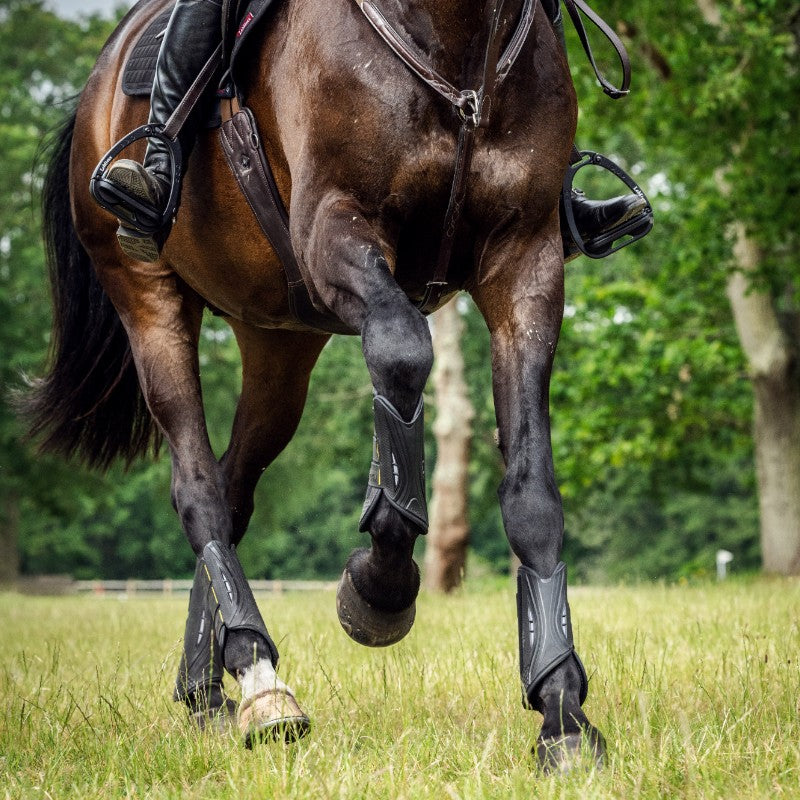 Lemieux - Guêtres de cross MimSafe antérieurs noir/ jaune | - Ohlala