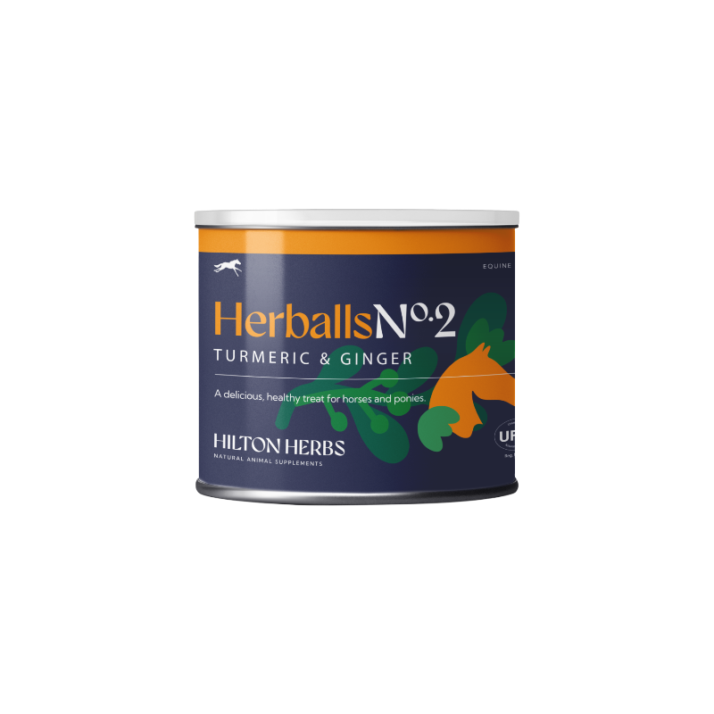 Hilton Herbs - Friandises pour chevaux naturelles Herballs N°2 curcuma/ gingembre | - Ohlala