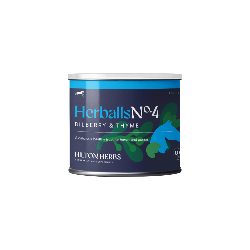 Hilton Herbs - Friandises pour chevaux naturelles Herballs N°4 myrtille/ thym | - Ohlala