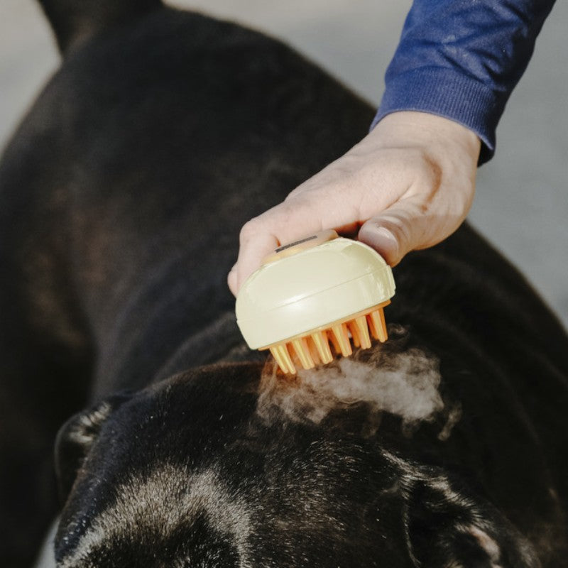 Hippotonic - Etrille à vapeur crème | - Ohlala