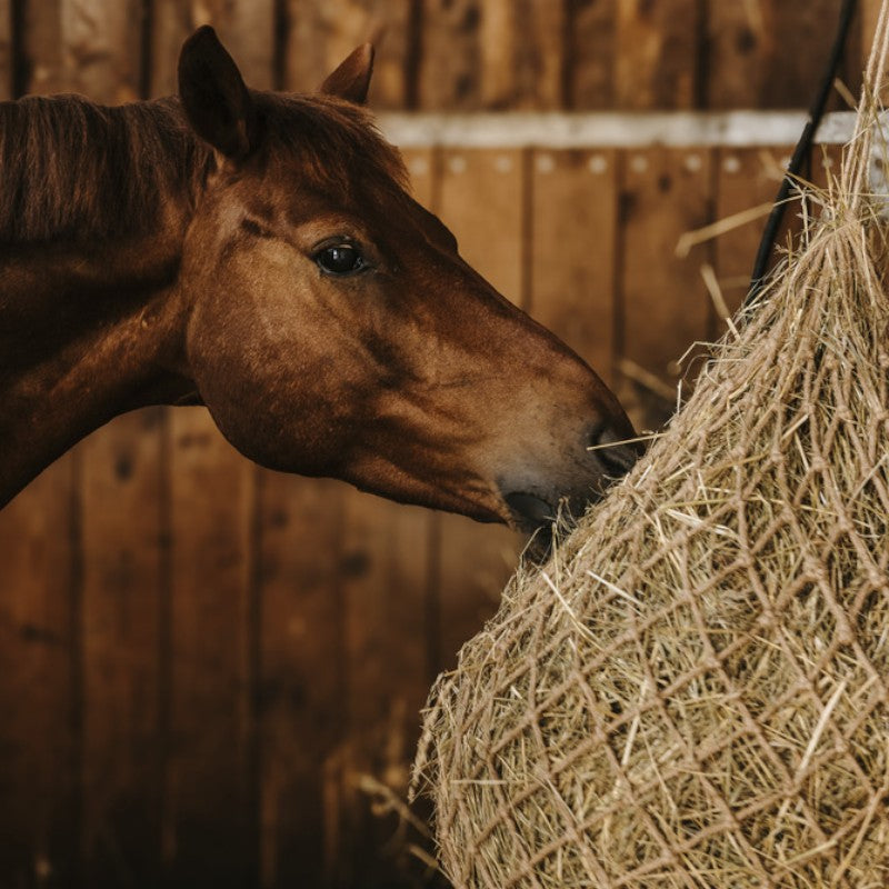 Hippotonic - Filet à foin naturel beige | - Ohlala
