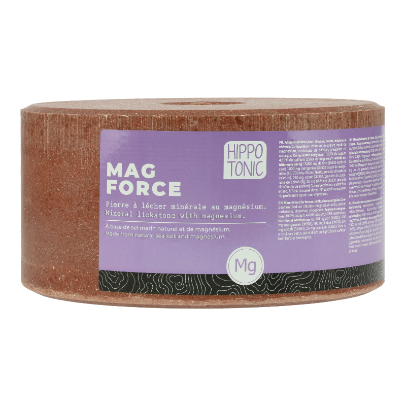 Hippotonic - Pierre à sel Magforce 3kg | - Ohlala