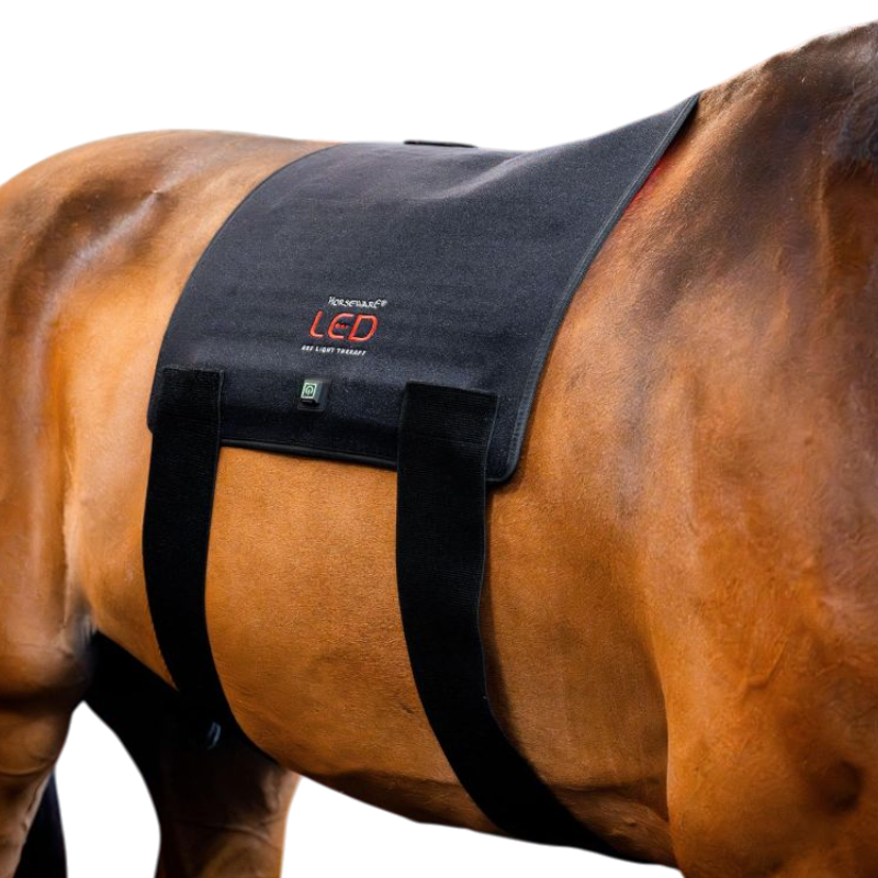 Horseware - Tapis thérapeutique lumière rouge LED | - Ohlala
