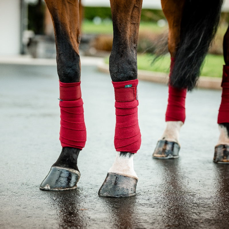 Horseware - Bandes de polo Amigo Fleece mulberry (x4) | - Ohlala