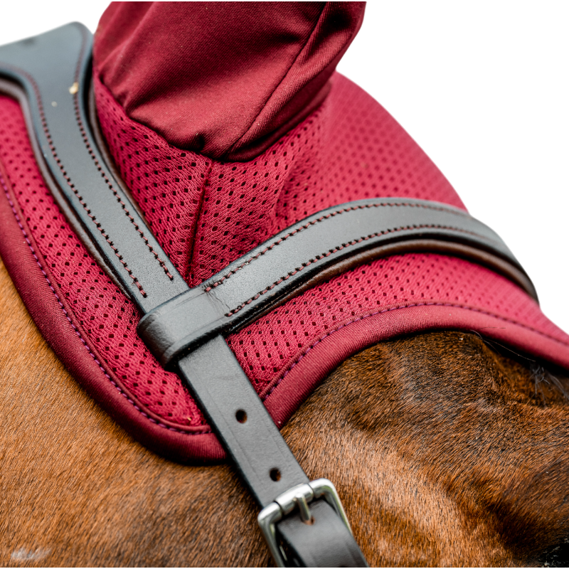 Horseware - Bonnet pour chevaux Amigo mulberry | - Ohlala