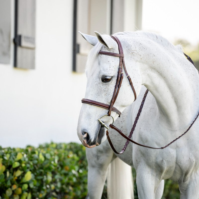 Horseware - Bridon Cavesson Hunter Pony avec rênes dark tan | - Ohlala