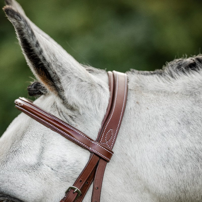 Horseware - Bridon Cavesson Hunter avec rênes dark tan | - Ohlala