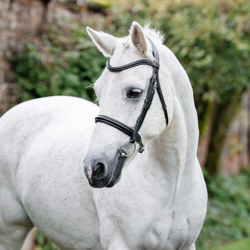 Horseware - Bridon Cavesson Pony noir | - Ohlala