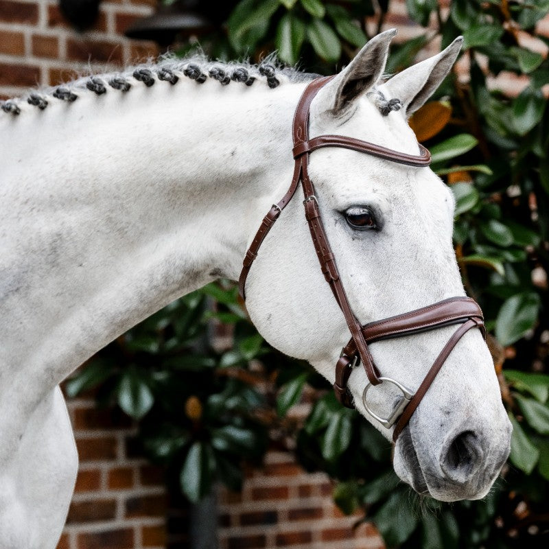 Horseware - Bridon Dressage Flash marron | - Ohlala