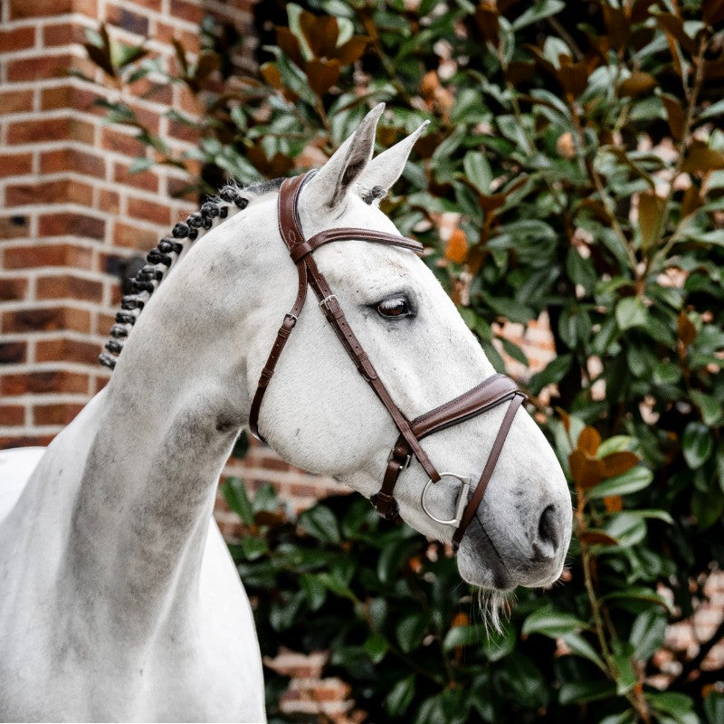 Horseware - Bridon Dressage Flash marron | - Ohlala