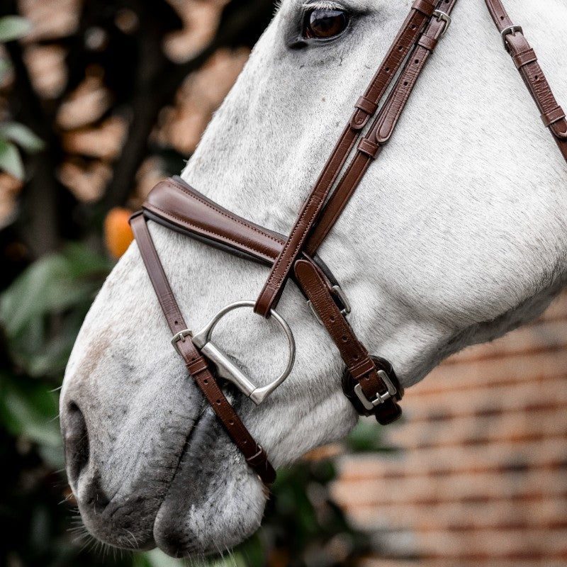 Horseware - Bridon Dressage Flash marron | - Ohlala