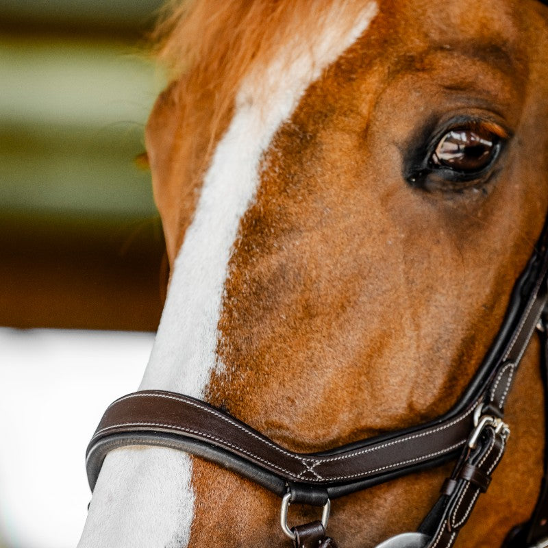 Horseware - Bridon Micklem Competition dark havane | - Ohlala