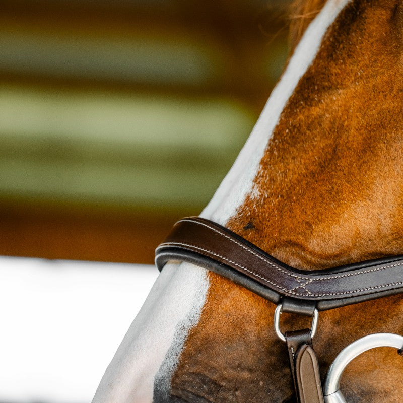 Horseware - Bridon Micklem Competition dark havane | - Ohlala