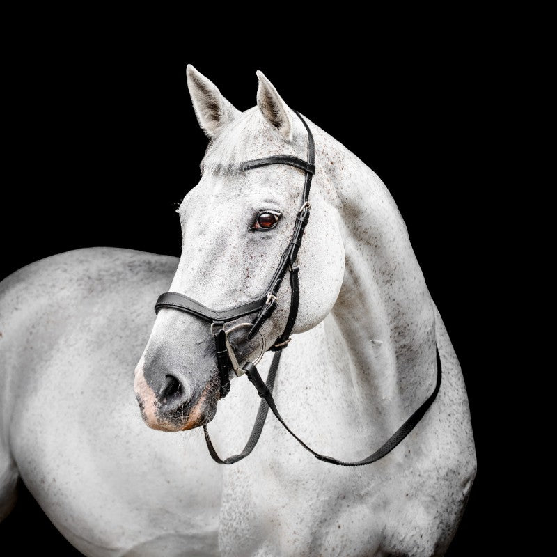 Horseware - Bridon Micklem Competiton noir | - Ohlala