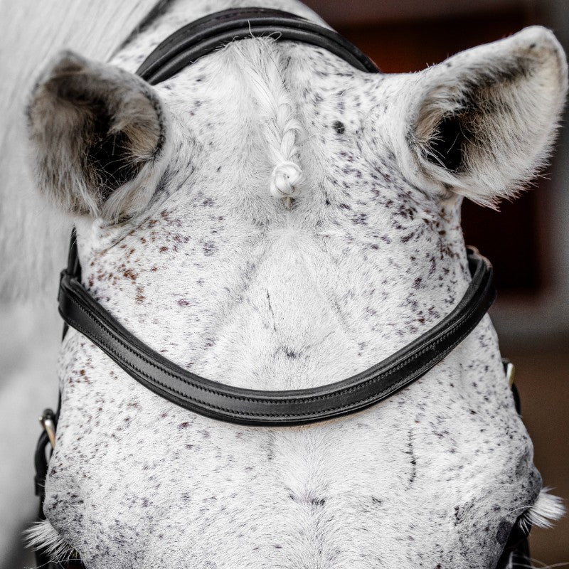 Horseware - Bridon Micklem Competiton noir | - Ohlala