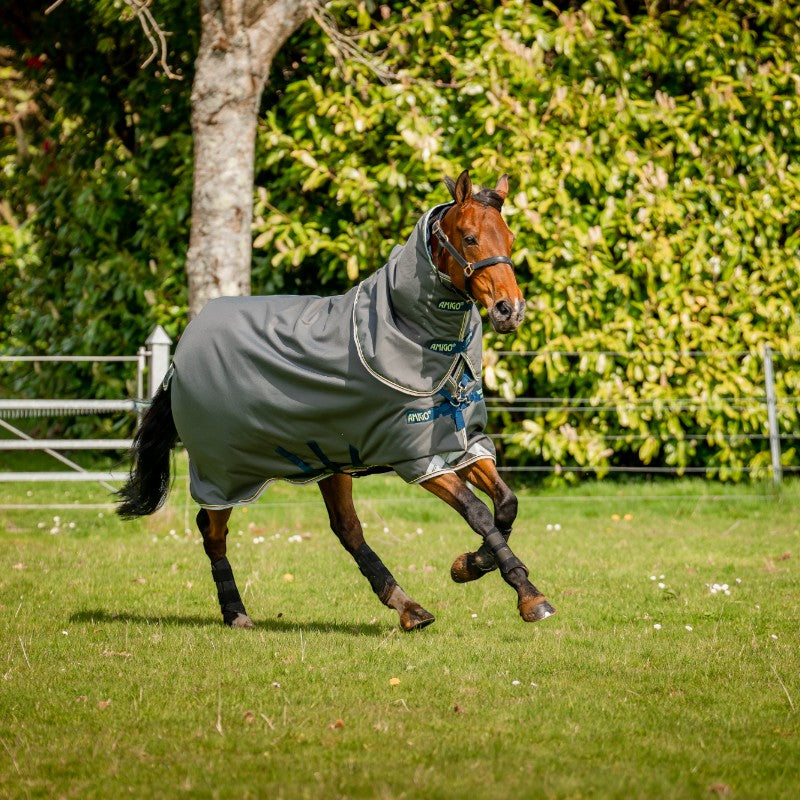 Horseware - Couverture d'extérieur Amigo Bravo 12 Plus shadow/ marine/ lime 250g | - Ohlala